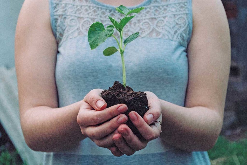 photo by Nikola Jovanovic from www.unsplash.com