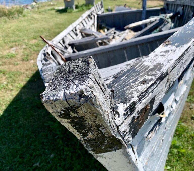 photograph of an old boat, falling apart on the shore