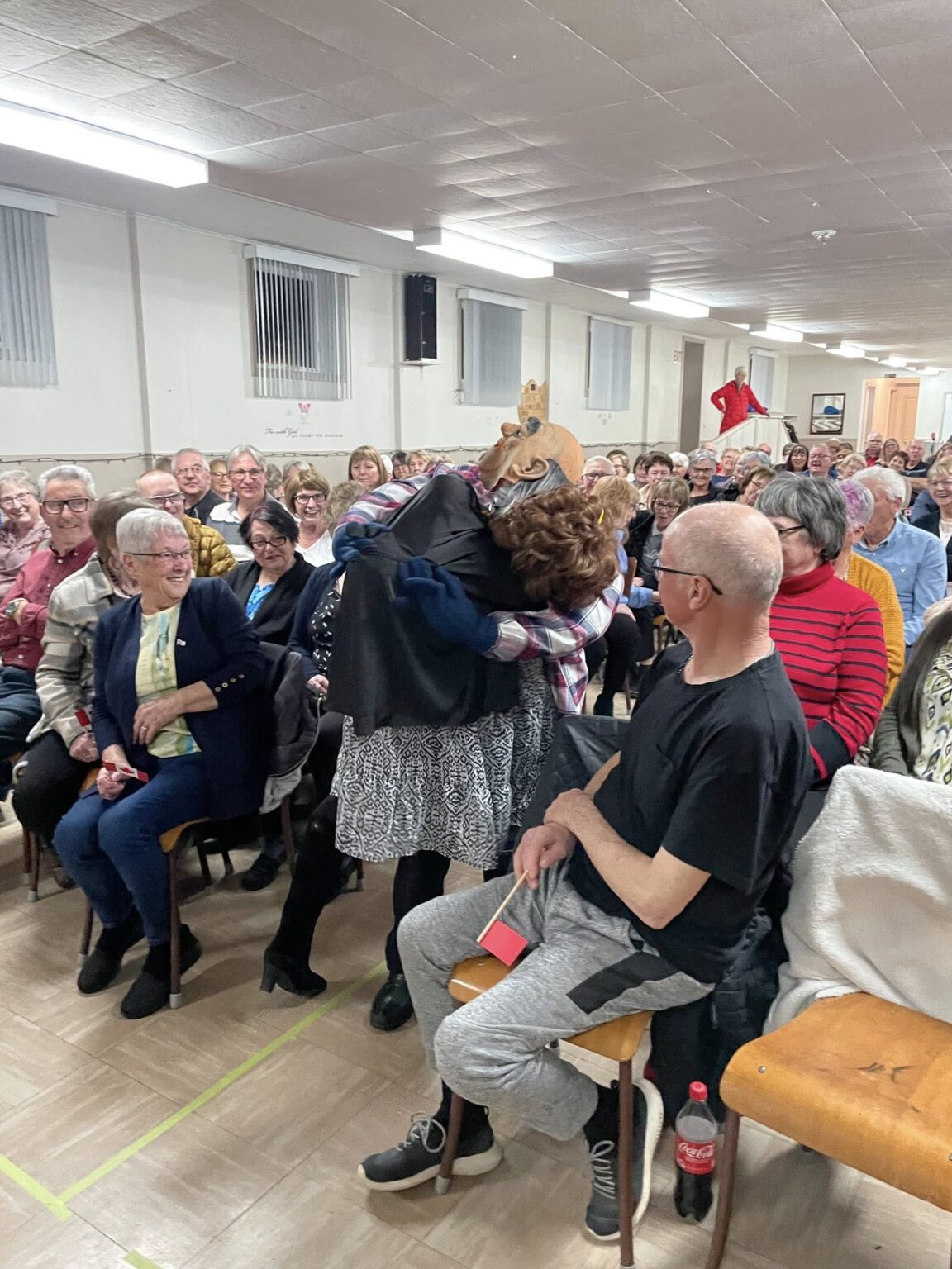 a hobby horse in the crowd at an old fashioned concert