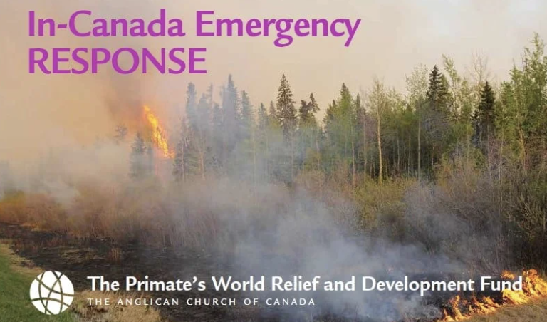 logo from Alongside Hope's Emergency Response