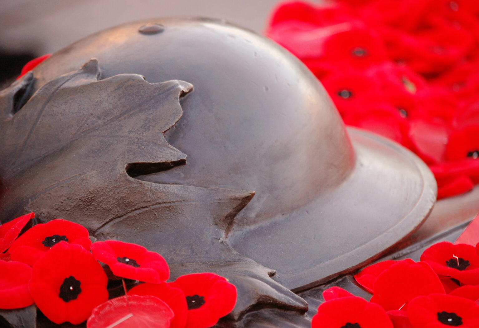 Bronze helmet with a maple leaf on a bed of bright red poppies.
