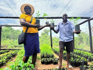 Two people holding tree saplings in a nursery.