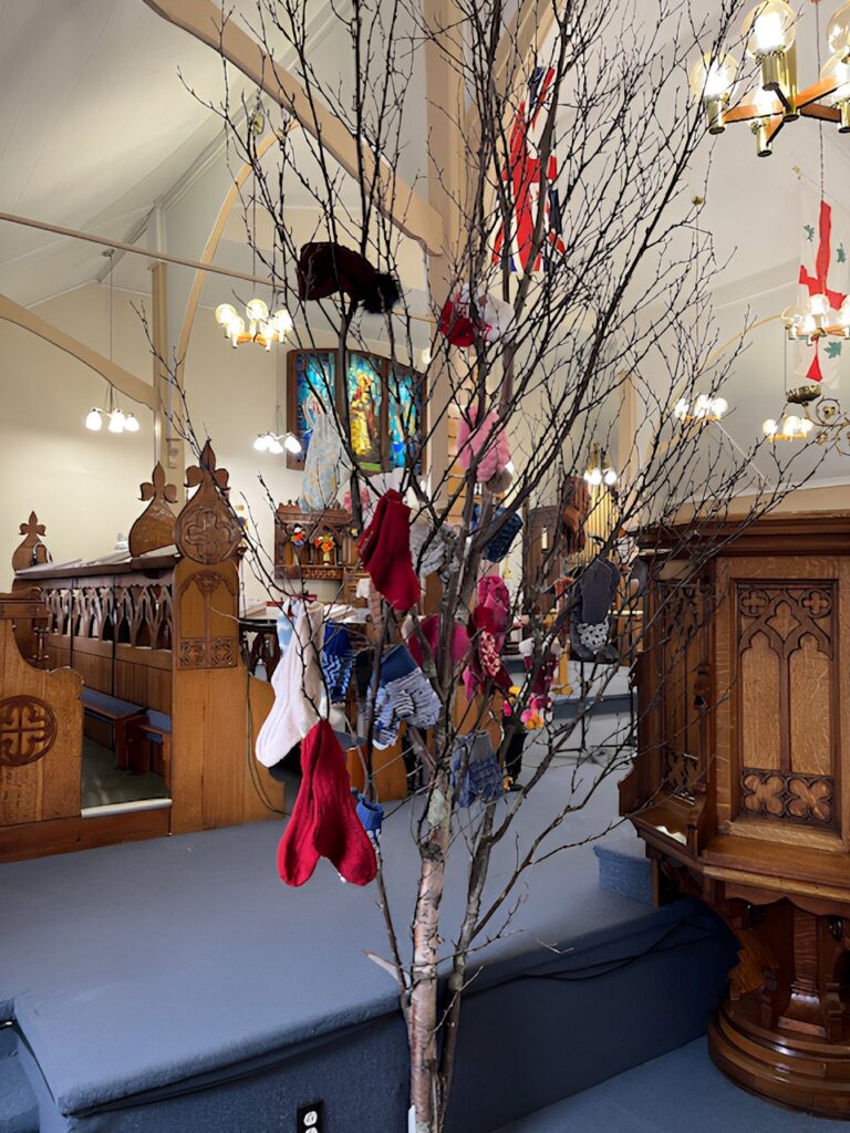 A bare indoor tree with a few pairs of donated socks and mittens hanging from its branches.