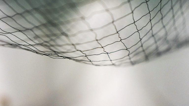looking up through a net at the sky on a grey day