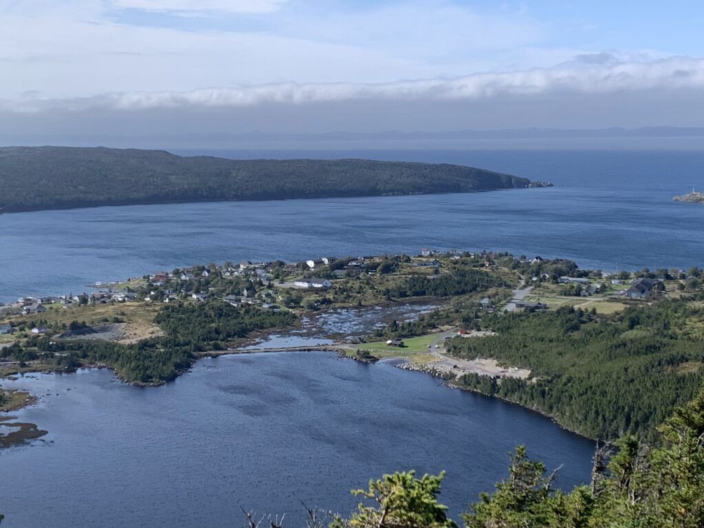 view of a harbour in Newfoundland as seen from a nearby hill