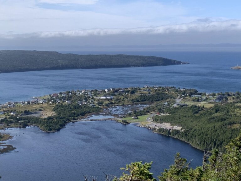 view of a harbour in Newfoundland as seen from a nearby hill