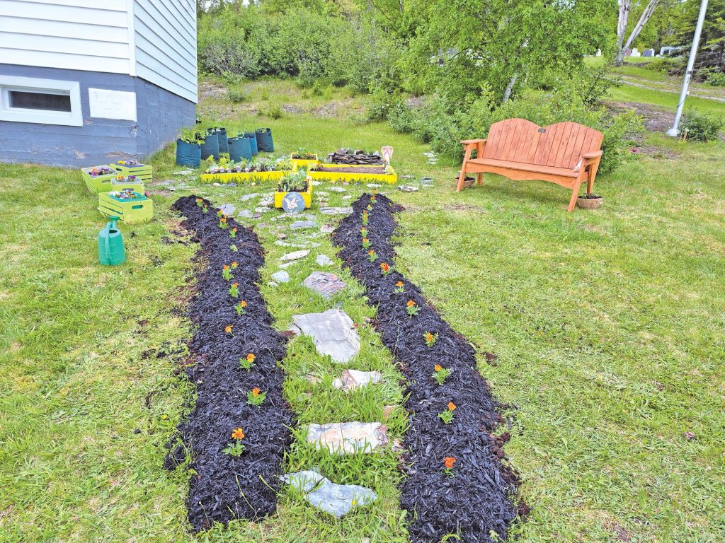 newly dug flower or vegetable beds