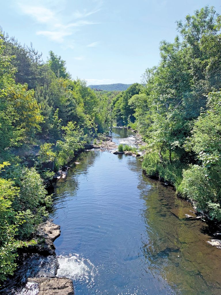 a river with trees on either side that runs through a city