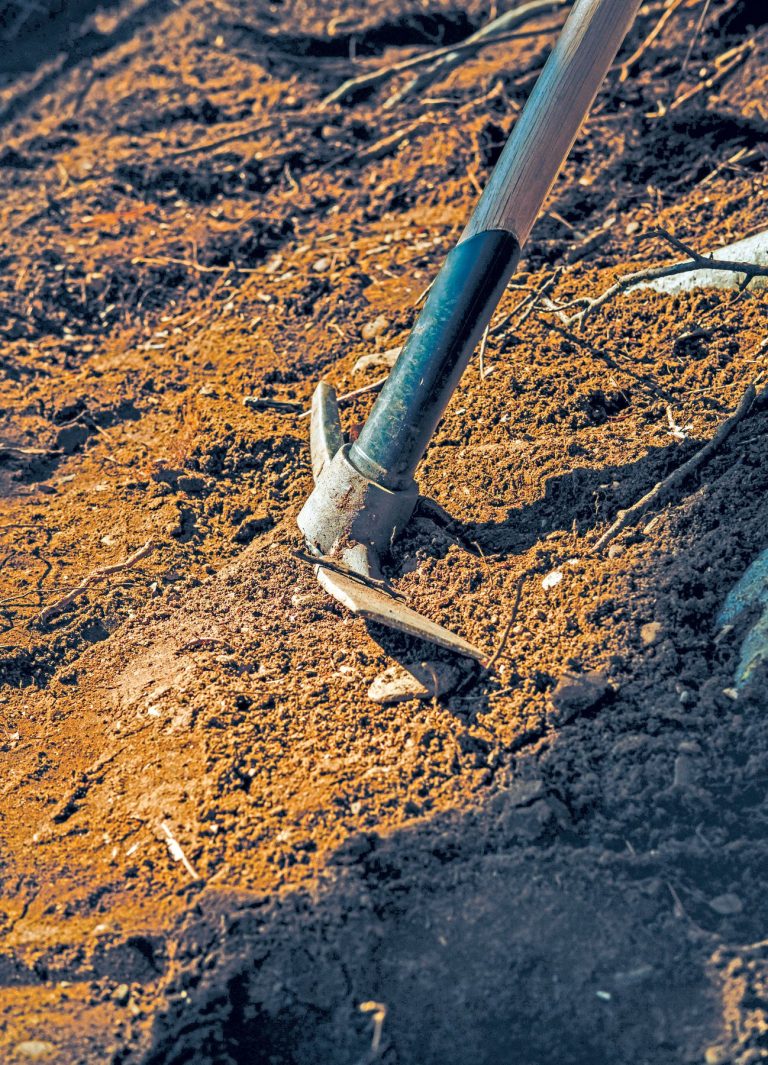 a shovel cuttinig down into a pile of earth