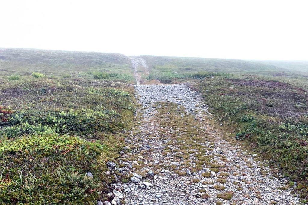 Generations of travellers, historians, and pilgrims have worn these two parallel tracks into the ground on the way to Mistaken Point, NL, to see the fossils there, where you are able to stand on what was an ocean floor almost 600 million years ago.