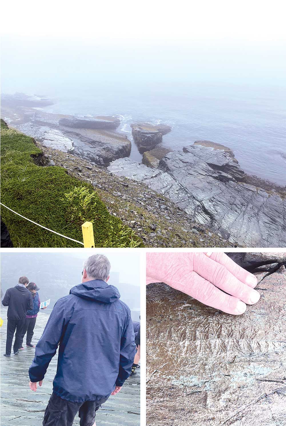 In the above photographs, we see the beach at Mistaken Point from above, Bishop Watton (from the back and with his shoes off), and an example of a fossil